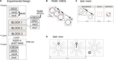 Extended Visual Sequence Learning Leaves a Local Trace in the Spontaneous EEG